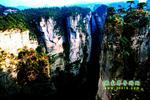 【純玩拼團(tuán)線路6】張家界、黃龍洞、天門山、天子山三晚四日游