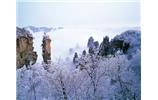 春節(jié)旅游：張家界、袁家界、天子山、寶峰湖/黃龍洞度假二晚三日游